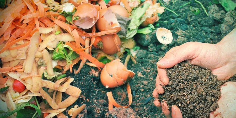 Dostrajanie pH gleby przy uprawie organicznej