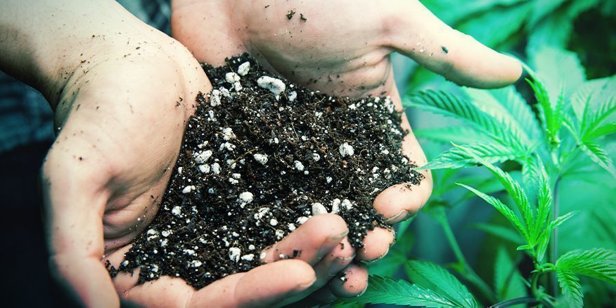 Dostosowywanie poziomu pH gleby