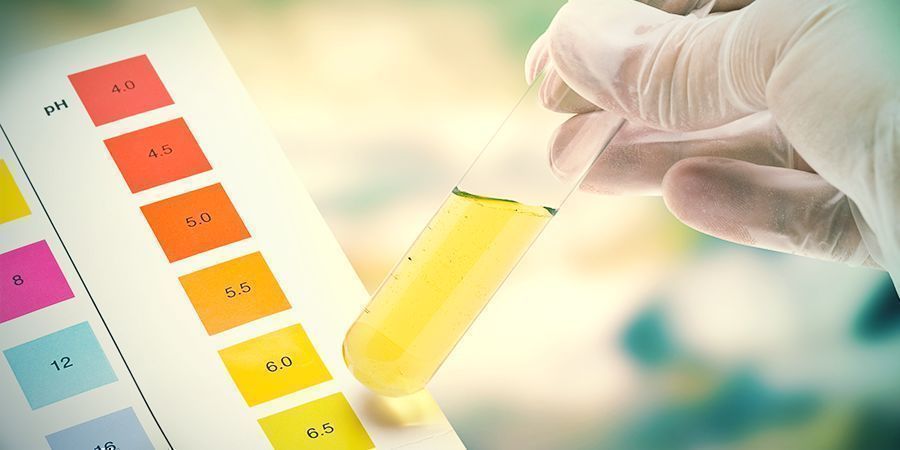 DLACZEGO PH JEST TAK WAŻNE PODCZAS UPRAWY KONOPI?