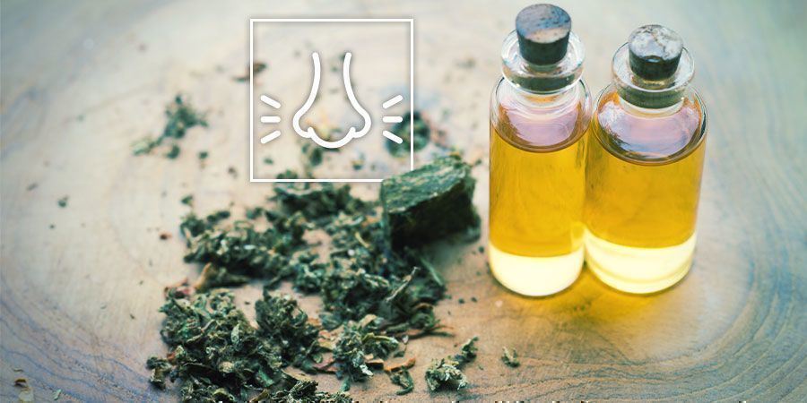 Zrelaksuj się dzięki konopi: postaw na terpeny