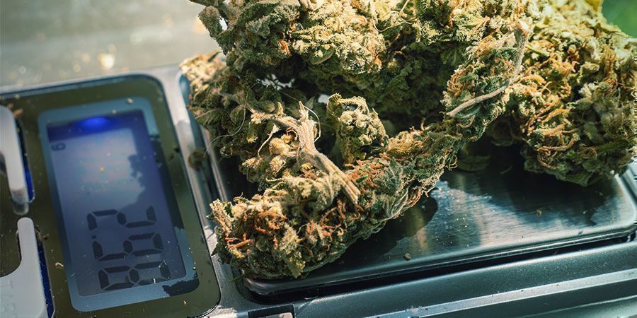 Wypróbuj różne dawki Wypróbuj różne dawki