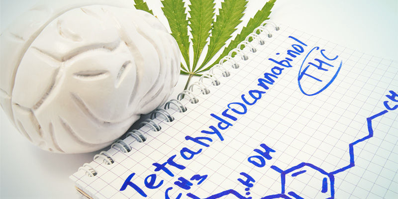 Bringing It Together To Help The Human Race Bringing It Together To Help The Human Race