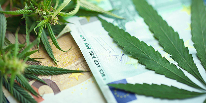 LED vs HPS: koszty i zużycie energii