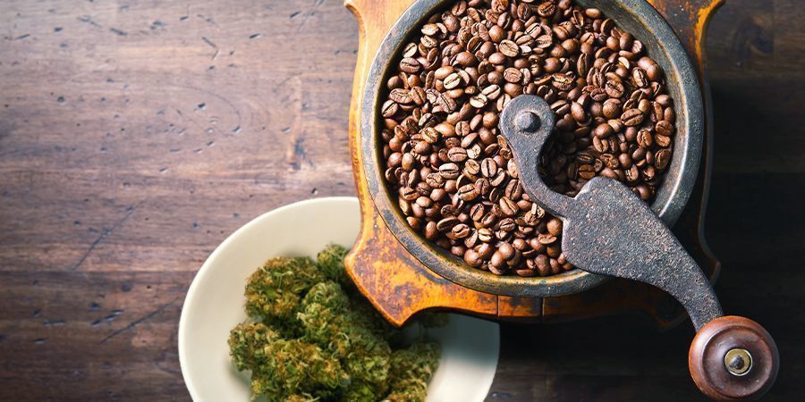 Use A Coffee Grinder To Make Canna-coffee USE A COFFEE GRINDER TO MAKE CANNA-COFFEE