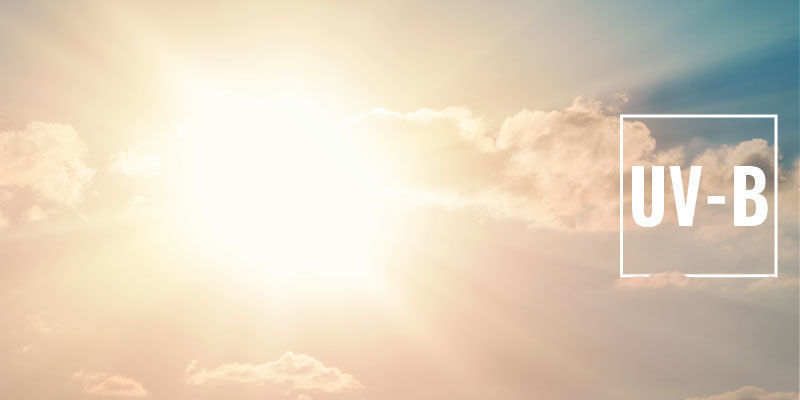 UV-B UV-B