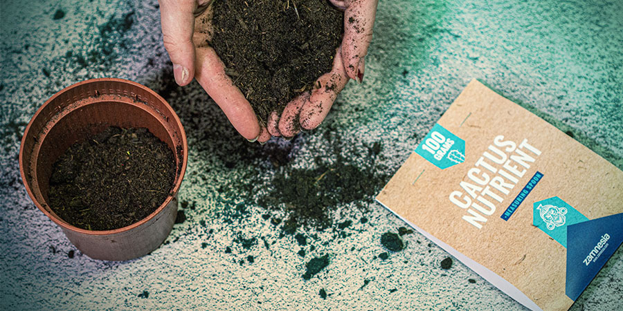 Wybierz odpowiednie podłoże