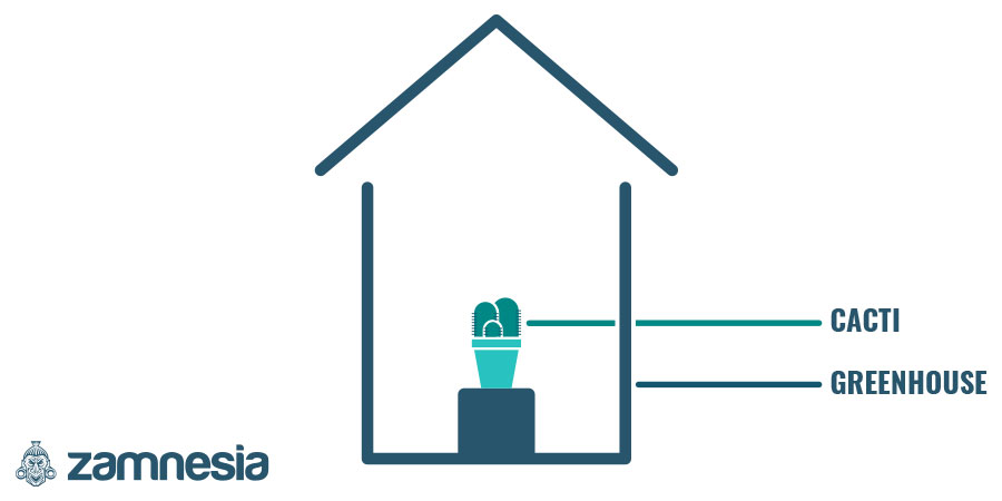 Stwórz warunki jak w szklarni