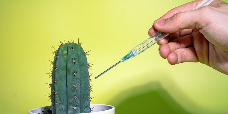 Chemical Doping Chemical Doping