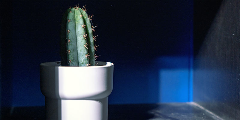 Pełny cień Pełny cień