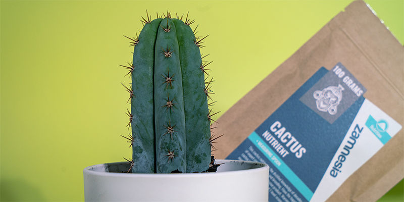 Poziomy składników odżywczych Poziomy składników odżywczych