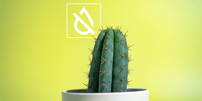 Ograniczenie podlewania Water Deprivation