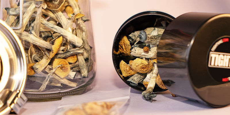 Jak przechowywać suszone grzyby