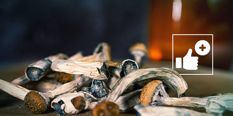 Jakie są korzyści z niebieskiego miodu? Jakie są korzyści z niebieskiego miodu?