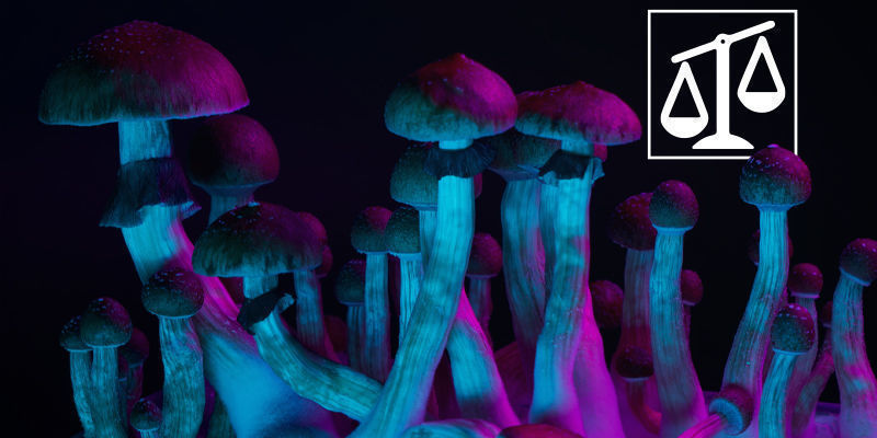 Różnice między psychodelikami Różnice między psychodelikami