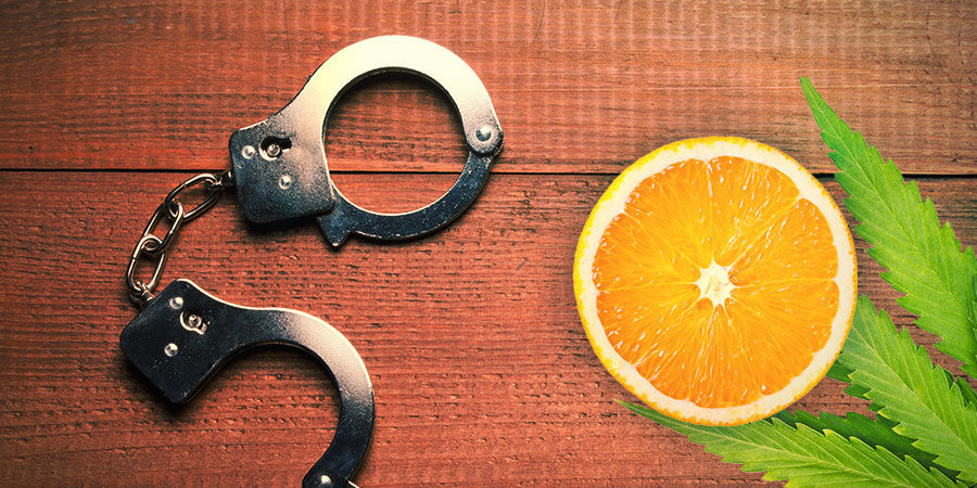 Agent Orange: smak i działanie AGENT ORANGE: FLAVOUR & EFFECTS