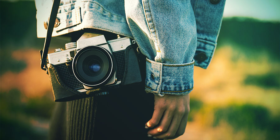 Rób zdjęcia grzyba rosnącego w jego naturalnym środowisku Rób zdjęcia grzyba rosnącego w jego naturalnym środowisku