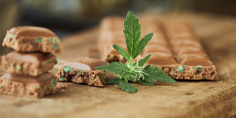 Cannabis Chocolate Cannabis Chocolate
