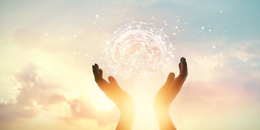 MAGIC MUSHROOMS CONNECT THE BRAIN ON NEW LEVELS