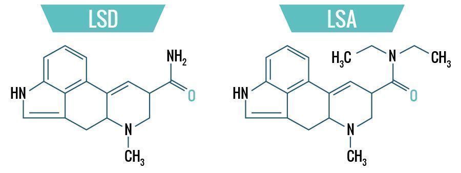 LSD & LSA