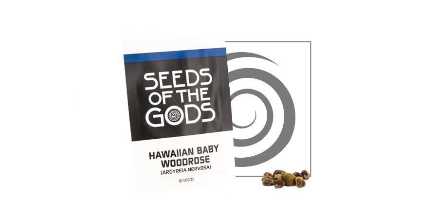 Hawaiian Baby Woodrose Hawaiian Baby Woodrose