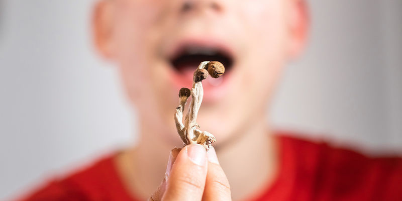 Interakcja mózgu i ciała