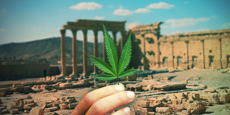 Krótka historia konopi włóknistych