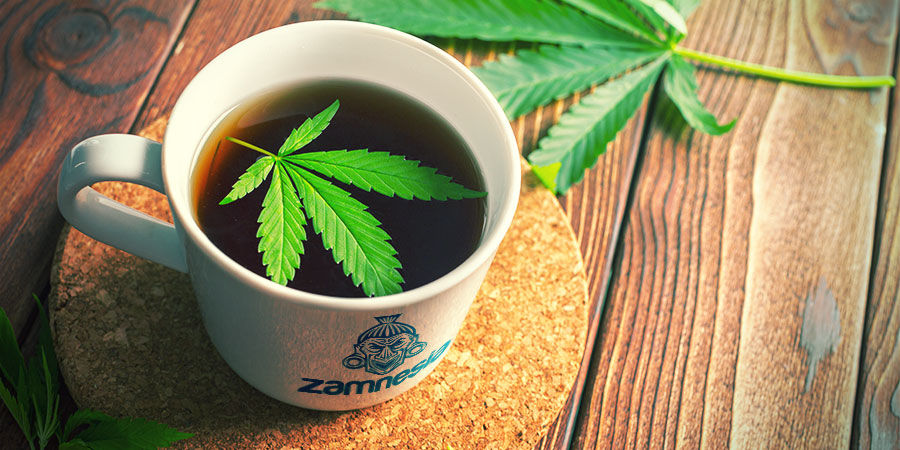 Wartości odżywcze konopi