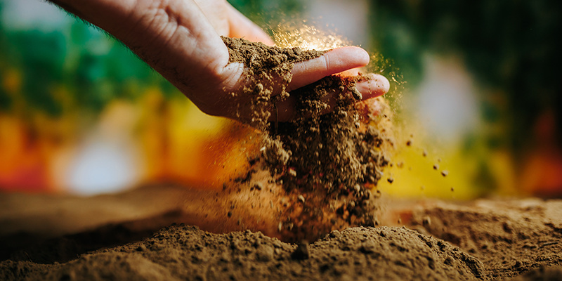 Wskazówka nr 4: Uprawiaj marihuanę w odpowiednim podłożu Wskazówka nr 4: Uprawiaj marihuanę w odpowiednim podłożu