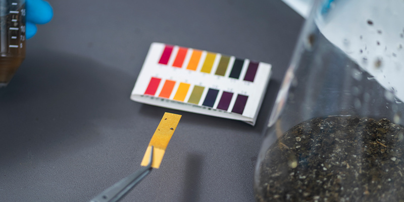 Wskazówka nr 7: Dbaj o prawidłowe pH swojej uprawy marihuany Wskazówka nr 7: Dbaj o prawidłowe pH swojej uprawy marihuany