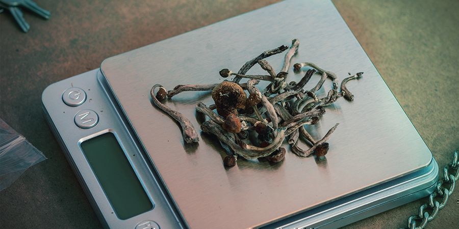 Rzeczy, o których warto pamiętać przed zakupem wagi