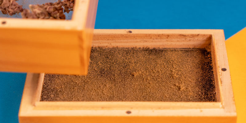 Sam pyłek, zero problemów!