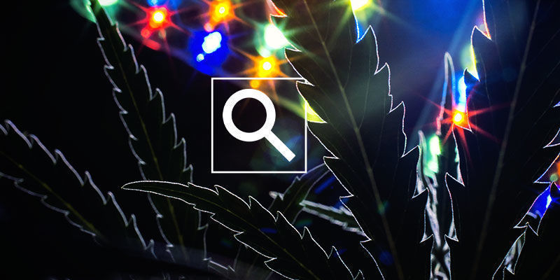 Jak sprawdzić widmo światła swojej lampy do uprawy