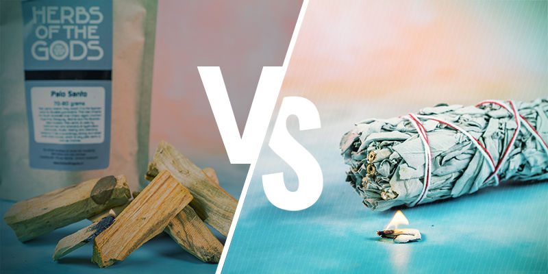 Palo Santo Wood vs Sage Palo Santo Wood vs Sage