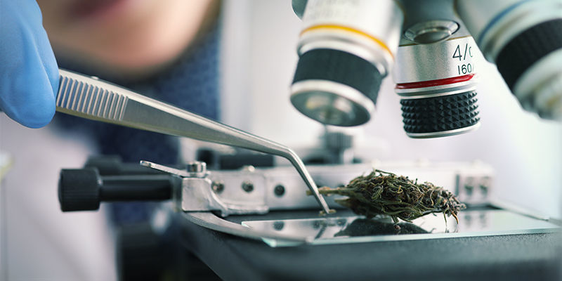 Zrozumieć, co wprawia nas w haj