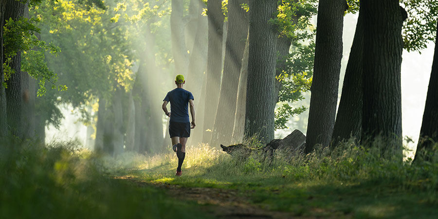 Jak obniżyć tolerancję na marihuanę