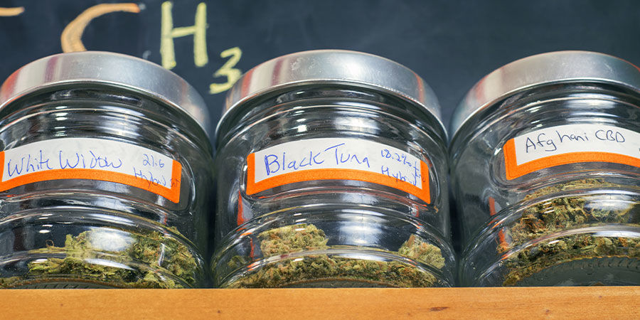 Różnorodność to przyprawa życia — spróbuj innej odmiany