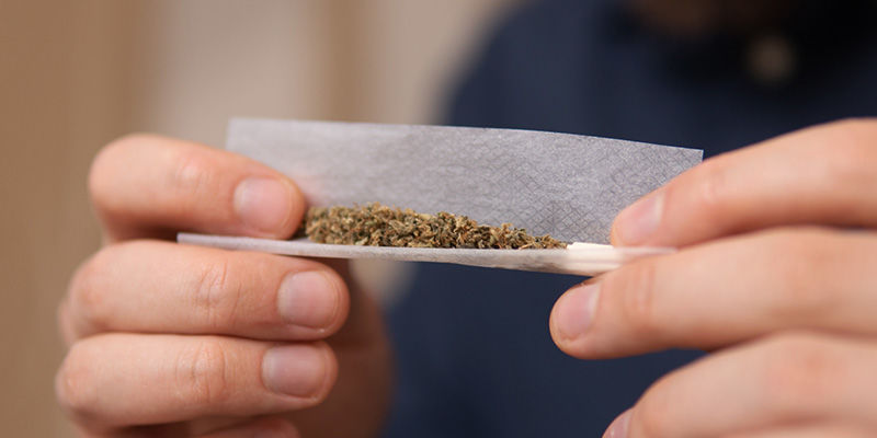 Nie używasz wystarczająco dużo zioła 5. Nie używasz wystarczająco dużo zioła