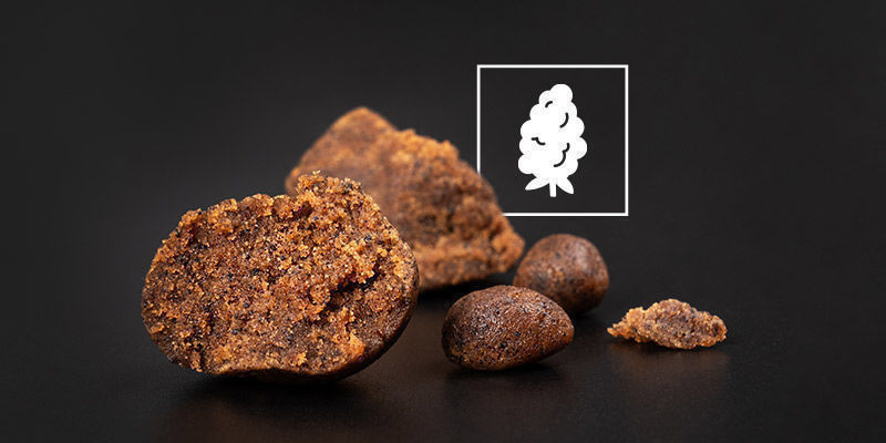 Jak lubisz swój hasz o poranku? Jak lubisz swój hasz o poranku?