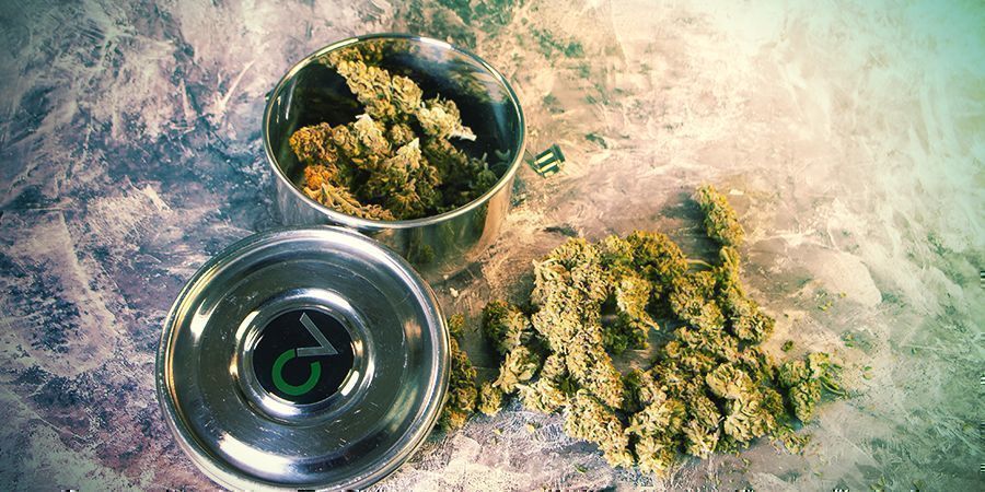 CVault przechowuje weed CVault przechowuje weed