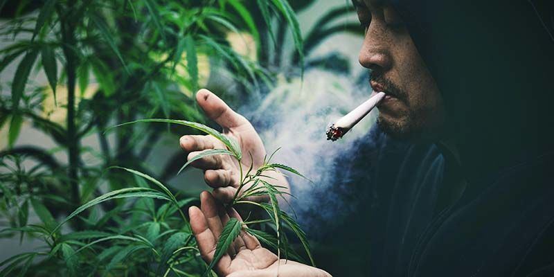 Złoty środek Złoty środek