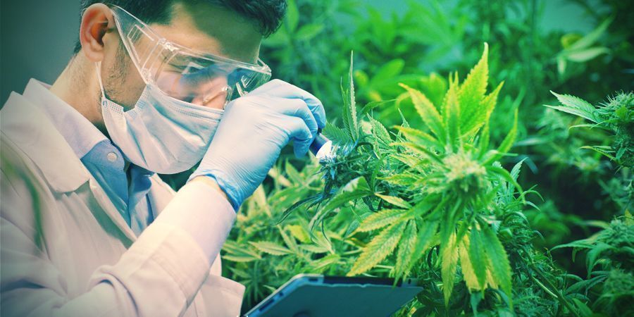 Co mówi nauka Co mówi nauka