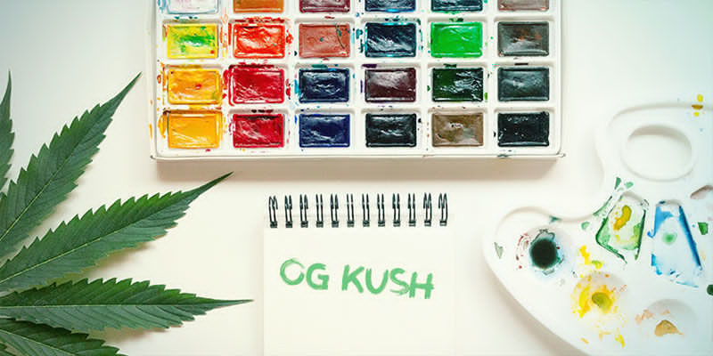 Charakterystyka OG Kush