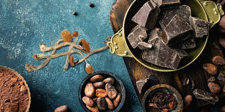 Czekolada z grzybkami halucynkami