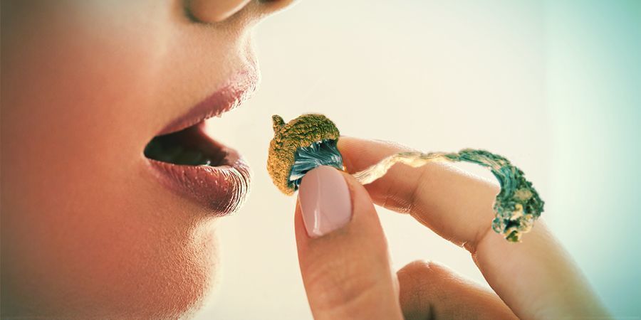 Trip na grzybkach halucynkach: o czym pamiętać