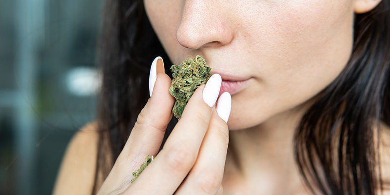 Dlaczego warto wybrać odmiany CBD? Dlaczego warto wybrać odmiany CBD?