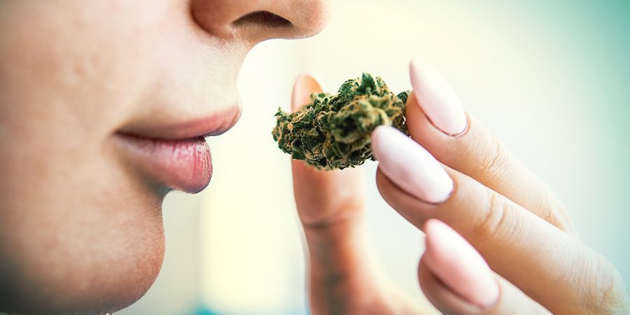 Smak i aromat Blue Dream FLAVOUR AND AROMA OF BLUE DREAM