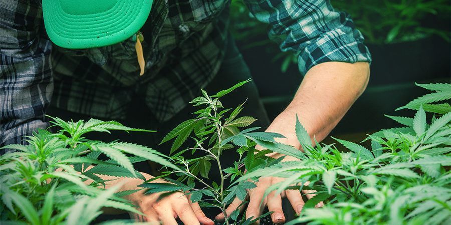 Podejmiesz to wyzwanie?