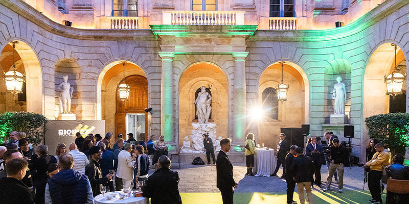 Czym są International Cannabis Awards?