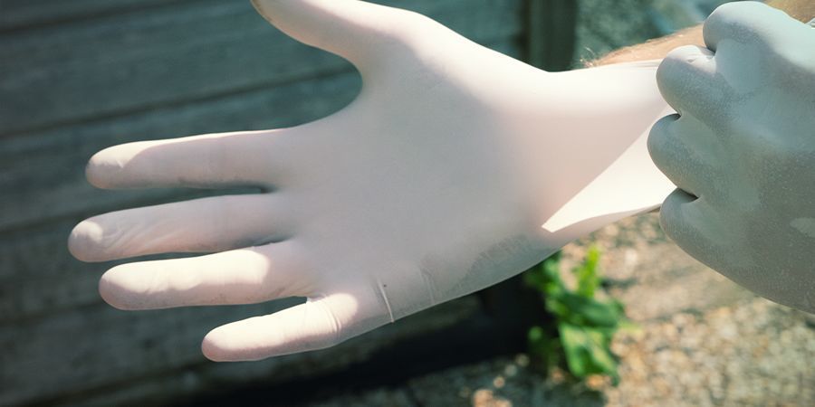 Na czym dokładnie polega technika sterylna? Na czym dokładnie polega technika sterylna przy uprawie grzybków halucynków?