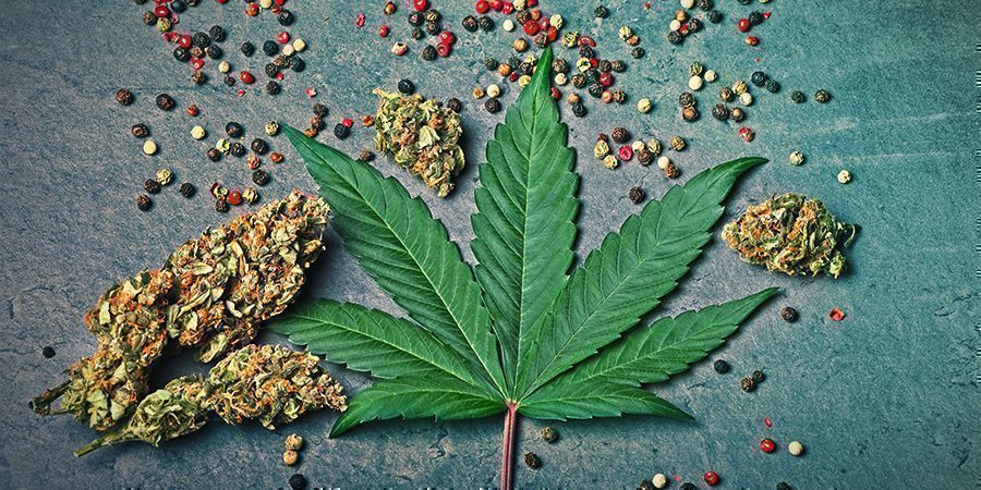 Power Flower: Smak i działanie